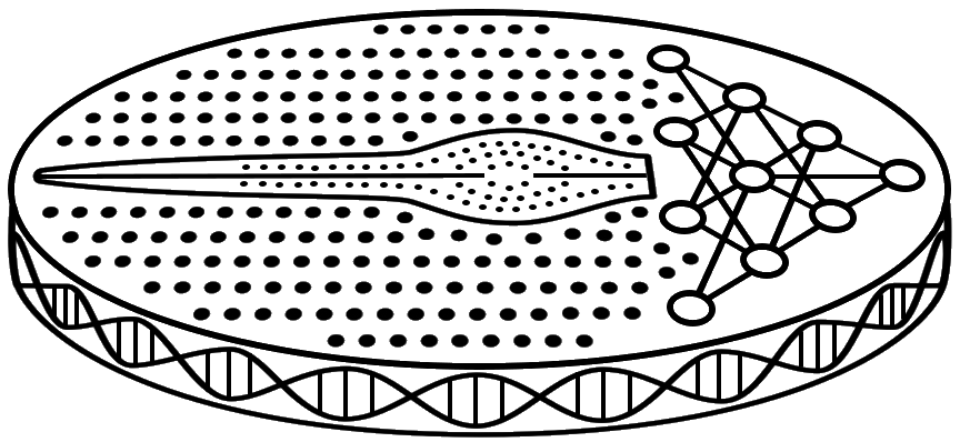 Logo Phykologie AG